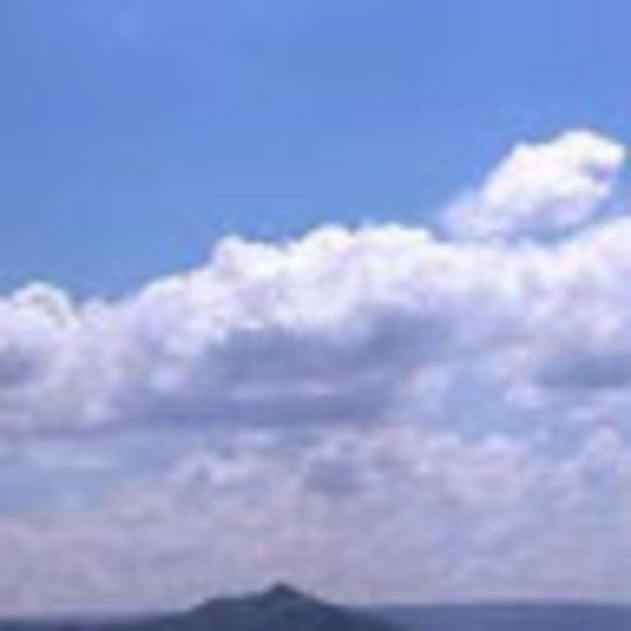 Meet your Posher, Helpduckie - Picture 1 of 1